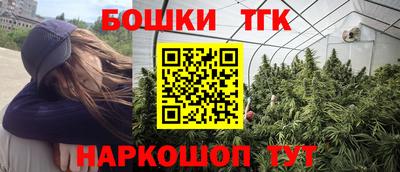 твердый Кингисепп