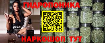твердый Кингисепп