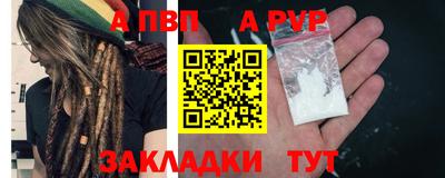 твердый Кингисепп
