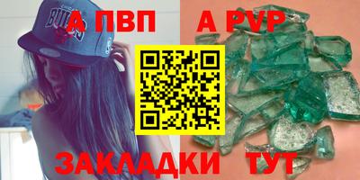 твердый Кингисепп