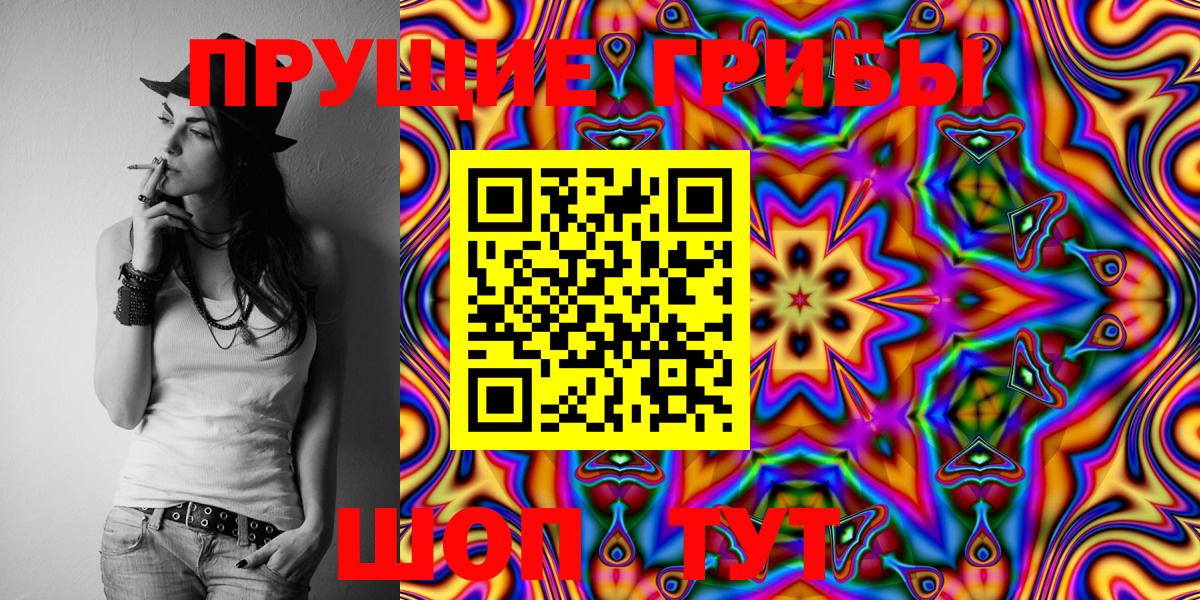 Чернушка  Галлюциногенные грибы Psilocybine cubensis  Вход с VPN 